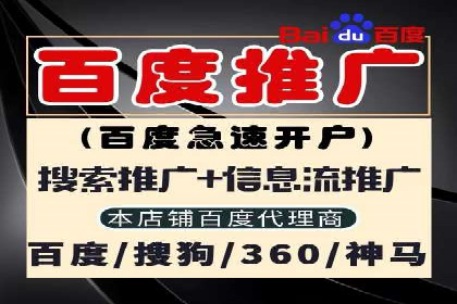 成功SEM推广代运营案例展示